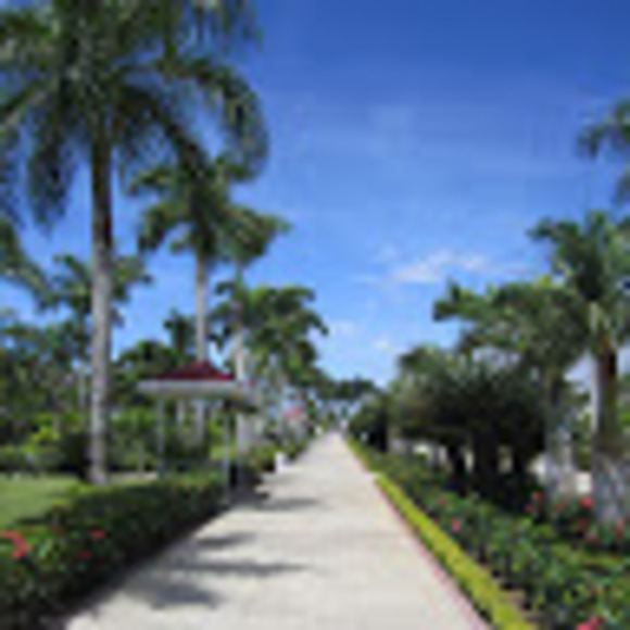 Profile Picture of Caleb Hogan (@hogac0224) on Poshmark