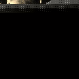Profile Picture of Chriss Krüger (@chrisskruger) on Myspace