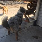 Profile Picture of Michaelruelas (@michaelruelas3207) on Instagram