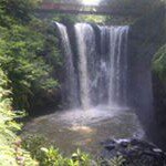 Profile Picture of James Jeldi Salikin (@jamessalikin) on Instagram