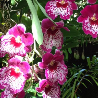 Profile Picture of Jackie Trottier (@Jackie_LT) on Twitter