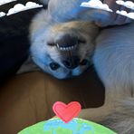 Profile Picture of Ava Emmendorfer (@Ava-Emmendorfer) on Facebook