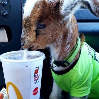 Profile Picture of Gray Bennett (@GrayBennett4) on Twitter