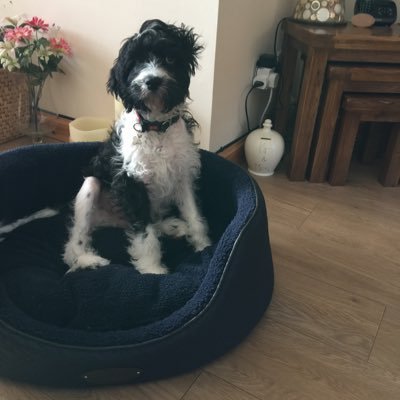 Profile Picture of Brian Couper (@BrianCouper7) on Twitter