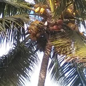 Profile Picture of Paul Isham (@Paulisham4) on Twitter