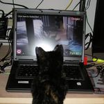 Profile Picture of Vicki Bartlett (@vicki.bartlett.161) on Instagram