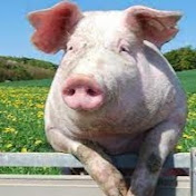 Profile Picture of Felix Richter (@FelixRichter-rc8zo) on Youtube