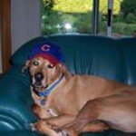 Profile Picture of Lori Kramer (@lori.kramer.395) on Instagram