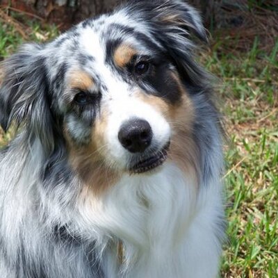 Profile Picture of GradyMax (@GradyMax) on Twitter