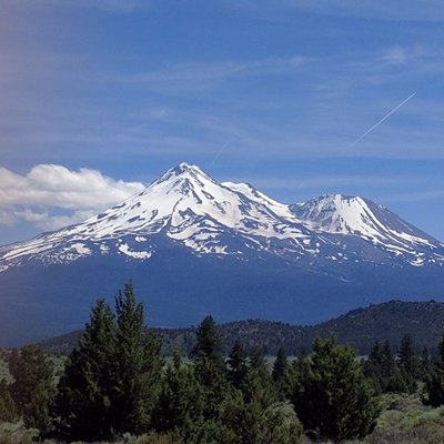 Profile Picture of Stephen Peterson (@AnErrantRake) on Twitter