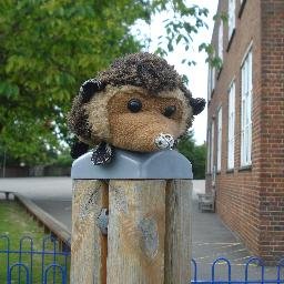 Profile Picture of Marcin Wozniewski (@hmiuk) on Twitter