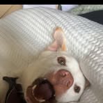 Profile Picture of Alex Mcque (@Alex-Mcque) on Facebook