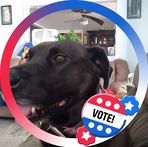 Profile Picture of Cindy Nicholas (@cindy.leo.526) on Facebook