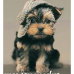 Profile Picture of RickFalk (@rickfalk6) on Instagram