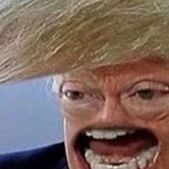 Profile Picture of MUELLER PROBE DAY (574) (@RedpilledChad) on Twitter