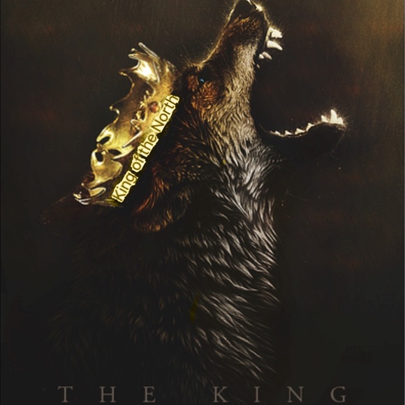 Profile Picture of Vincent Mannini (@vincenzo11) on Poshmark