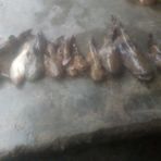 Profile Picture of Abraham Águilar Mays (@abraham.aguilarmays.54) on Facebook