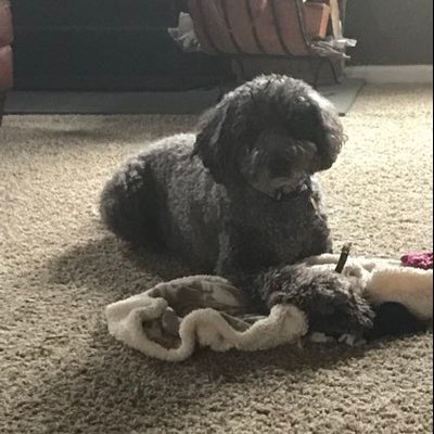 Profile Picture of Jim Begg (@BeggJim) on Twitter