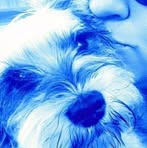 Profile Picture of Dixie Dust (@dixie.dust.7771) on Facebook