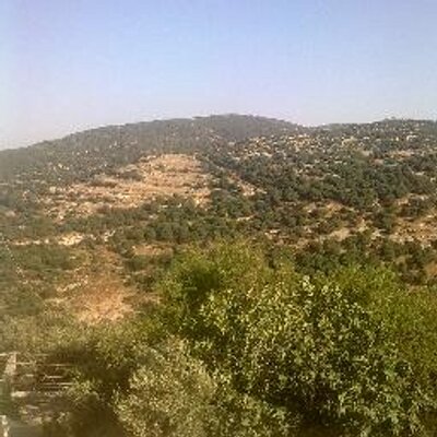 Profile Picture of Jamal El Khatib (@MJelkhatib) on Twitter