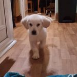 Profile Picture of David J. Ottley (@dj7196) on Instagram