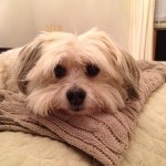 Profile Picture of ellentangen44 (@ellentangen44) on Instagram