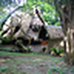 Profile Picture of Gary Morgan (@morgansjunglelodge) on Flickr