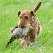 Profile Picture of Scott Lichty (@scottlichty8488) on Youtube