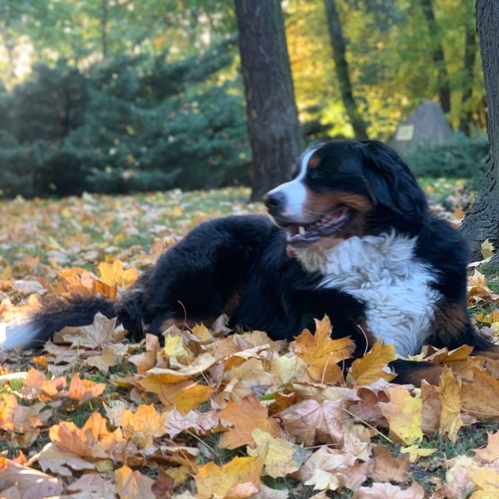 Profile Picture of robertrybarczyk04 (@robertrybarczyk04) on Tiktok