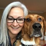 Suzanne - Instagram Profile Picture of Suzanne (@suzannewillett) on Instagram