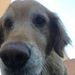Profile Picture of David Macy (@davemacy09) on Pinterest