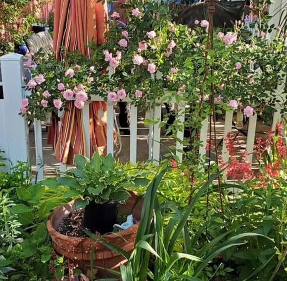 Profile Picture of Glenda Higgins (@glendahiggins) on Poshmark