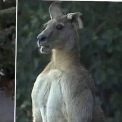 Profile Picture of Jimmy Chaves (@JimmyChaves8) on Twitter