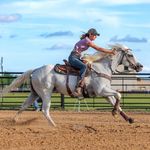 Profile Picture of Rebecca Marshall (@rdranchhorses) on Instagram
