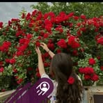 Jana Debi - Facebook Profile Picture of Jana Debi (@Jana-Debi) on Facebook