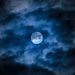 Profile Picture of David Kalman (@davidhkalman) on Pinterest