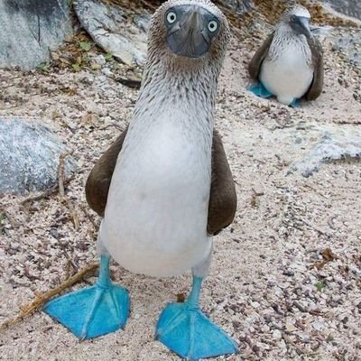 Profile Picture of Tom Sherlock (@tdsherlock) on Twitter