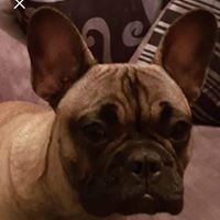 Profile Picture of Mandy Grimes (@mandy-grimes-6) on Quora