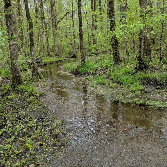 Profile Picture of Casey Bowens (@caseybowens) on Poshmark