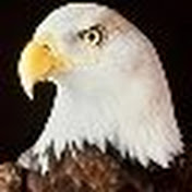 Profile Picture of David Chism (@davidchism4091) on Youtube