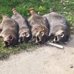 Profile Picture of Joevansant (@joe_121803) on Instagram