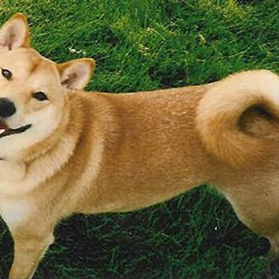 Profile Picture of Allison Rich (@@splorts) on Twitter