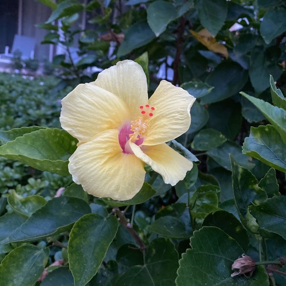 Profile Picture of Brianna Woerner (@brianna1096) on Poshmark