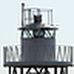 Sarapatrizia Tortoriello - Flickr Profile Picture of Sarapatrizia Tortoriello (@baleneinfuga) on Flickr