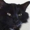 Profile Picture of Larry Grubb395 (@@larrygrubb0) on Tiktok