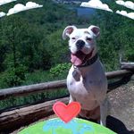 Profile Picture of Scott Burfield (@burfield_scott) on Instagram