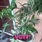 Profile Picture of Lenford Clarke (@lenford.clarke.2025) on Facebook