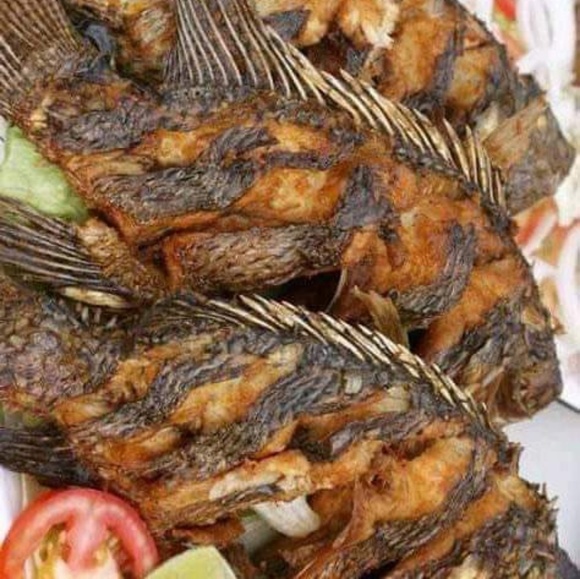 Profile Picture of Alejandro Acevedo (@tonotilo21) on Poshmark