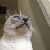 Profile Picture of Luke Ratcliff (@luke.right.73) on Facebook
