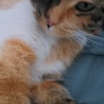 Profile Picture of Daniel Makowski (@Daniel-Makowski) on Facebook